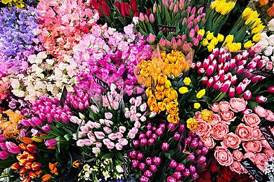 《街霸6》阿鬼角色指南 9月27日参战