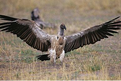 “喜加一”周报(6.6-6.12)：E父免费送《死亡循环》